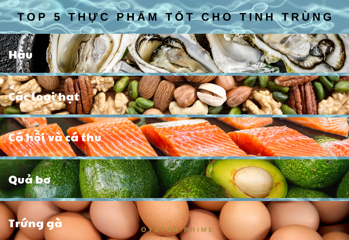 thực phẩm tăng chất lượng tinh trùng